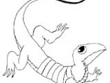 Coloriage De Lezard A Imprimer Dessin Chat Facile Tete