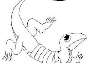 Coloriage De Lezard A Imprimer Dessin Chat Facile Tete