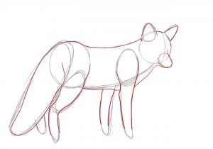 Coloriage De Lezard A Imprimer Dessin Renard Facile Etape Par Etape