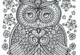 Coloriage De Mandala De Chouette 269 Best Owl Coloring Pages for Adults Images On Pinterest