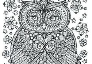 Coloriage De Mandala De Chouette 269 Best Owl Coloring Pages for Adults Images On Pinterest