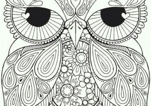 Coloriage De Mandala De Chouette épinglé Par Brenda Moldthan Sur Zentangles Pinterest