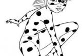Coloriage De Miraculous Ladybug Et Chat Noir A Imprimer 67 Best Miraculous Images On Pinterest