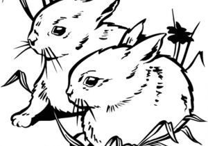 Coloriage De Monsieur Madame à Imprimer Dessins Gratuits   Colorier Coloriage Camion Pompier  