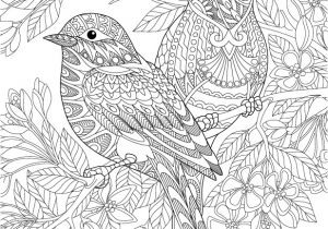 Coloriage De Noel à Imprimer Pour Adulte Coloriage Adultes Des Oiseaux Dory Coloriages