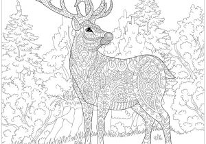 Coloriage De Noel à Imprimer Pour Adulte Renne De Noël Noël Coloriages Difficiles Pour Adultes