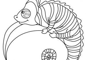 Coloriage De Olive Et tom 84 Best Coloriages Animaux Sauvages Images On Pinterest