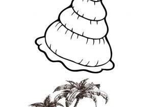 Coloriage De Palmier 143 Best Coloriages Vacances D été Images On Pinterest
