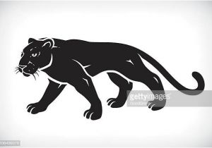 Coloriage De Panthere Noire A Imprimer Black Leopard Vector Art and Graphics