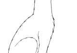 Coloriage De Panthere Noire A Imprimer Coloriage à Imprimer Une Panthère Noire Dory Coloriages
