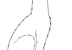 Coloriage De Panthere Noire A Imprimer Coloriage à Imprimer Une Panthère Noire Dory Coloriages