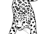 Coloriage De Panthere Noire A Imprimer Léopard Animaux – Coloriages à Imprimer
