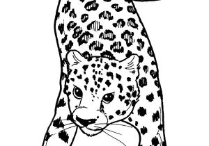 Coloriage De Panthere Noire A Imprimer Léopard Animaux – Coloriages à Imprimer