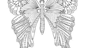 Coloriage De Papillon A Imprimer Gratuit épinglé Par Jean Sur Nature
