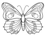 Coloriage De Papillon à Imprimer Gratuitement Coloriage Simple D 39 Un Papillon Coloriage Papillon T Te Dessin