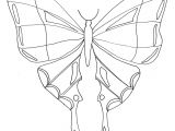 Coloriage De Papillon à Imprimer Gratuitement Coloriage Simple D 39 Un Papillon Coloriage Papillon T Te Dessin
