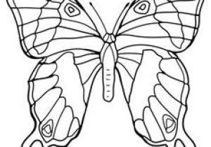 Coloriage De Papillon Gratuit 385 Meilleures Images Du Tableau Papillons En 2019