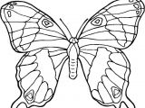 Coloriage De Papillon Gratuit à Imprimer 104 Best Coloriages Images On Pinterest