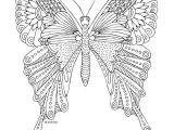 Coloriage De Papillon Gratuit épinglé Par Jean Sur Nature