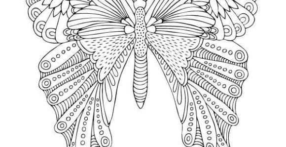 Coloriage De Papillon Gratuit épinglé Par Jean Sur Nature