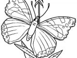 Coloriage De Papillon Sur Une Fleur Best 154 Coloriage De Papillons Et Autres Insectes Ideas On