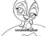Coloriage De Petshop à Imprimer 116 Dessins De Coloriage Pingouin   Imprimer