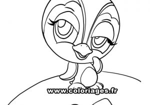 Coloriage De Petshop A Imprimer Gratuit 116 Dessins De Coloriage Pingouin   Imprimer