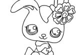 Coloriage De Petshop Chat Coloriages Petshop
