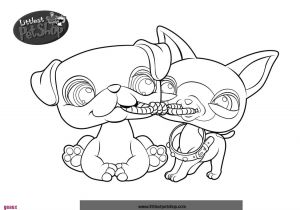 Coloriage De Petshop Chien Coloriage De Chat Et Chien Gratuit Elégant Mod¨le Clubdemax