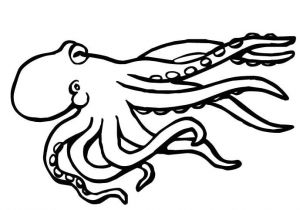 Coloriage De Pieuvre Gratuit Pieuvre 18 Animaux – Coloriages   Imprimer