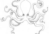 Coloriage De Pieuvre Gratuit Pieuvre 8 Animaux – Coloriages   Imprimer