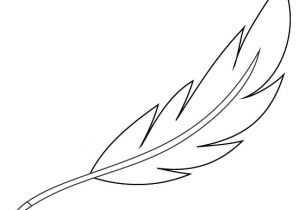 Coloriage De Plume D Oiseau Coloriage De Plume D Oiseau
