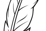 Coloriage De Plume D Oiseau Coloriage Plume à Imprimer