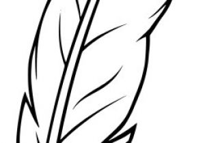 Coloriage De Plume D Oiseau Coloriage Plume à Imprimer