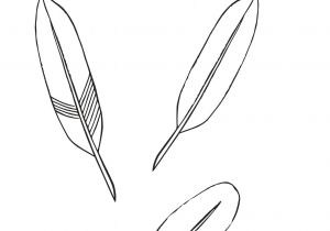 Coloriage De Plume D Oiseau Des Plumes Exercice De Tracé à Imprimer