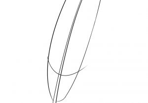 Coloriage De Plume D Oiseau Dessiner Une Plume étape Par étape Dessindigo