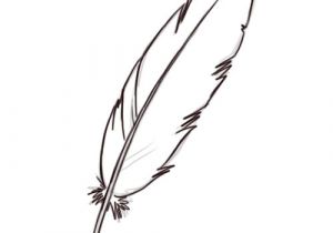 Coloriage De Plume D Oiseau Ment Dessiner Une Plume D Oiseau Dessin