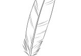 Coloriage De Plume D Oiseau Ment Dessiner Une Plume Dessins