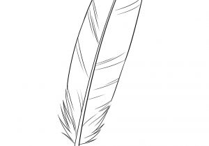 Coloriage De Plume D Oiseau Ment Dessiner Une Plume Dessins