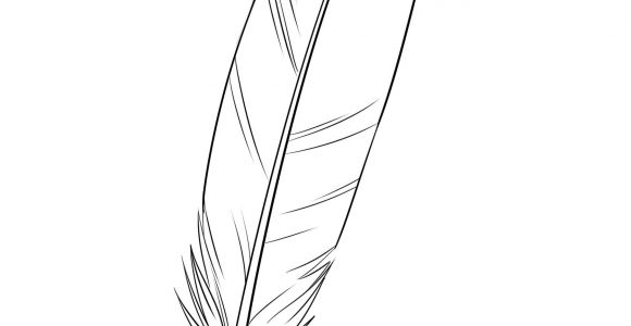 Coloriage De Plume D Oiseau Ment Dessiner Une Plume Dessins