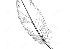 Coloriage De Plume D Oiseau Smoth Tiré Par La Main Plume D Oiseau Tropicale Et