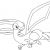 Coloriage De Pokémon Ex Coloriage Carte Pok C3 A9mon Ex Mega Evoltion A Imprimer Coloriage