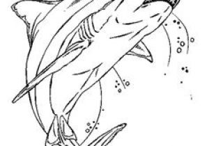 Coloriage De Quad Et Moto Les 19 Meilleures Images De Ecriture En 2019