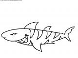 Coloriage De Requin Marteau 119 Dessins De Coloriage Requin   Imprimer