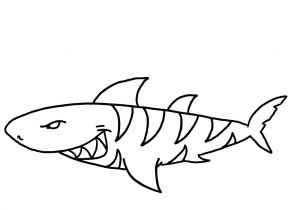 Coloriage De Requin Marteau 119 Dessins De Coloriage Requin   Imprimer