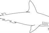 Coloriage De Requin Marteau Coloriage   Imprimer Un Requin Marteau Turbulus Jeux Pour Enfants