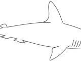 Coloriage De Requin Marteau Coloriage   Imprimer Un Requin Marteau Turbulus Jeux Pour Enfants