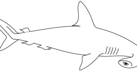 Coloriage De Requin Marteau Coloriage   Imprimer Un Requin Marteau Turbulus Jeux Pour Enfants