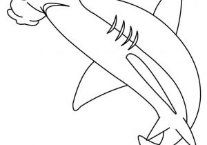 Coloriage De Requin Marteau Coloriages Coloriage D Un Requin Marteau Fr Hellokids