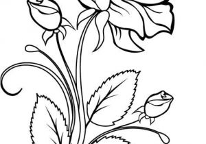 Coloriage De Rosas Coloriage Une Rose Et Des Boutons De Rose Dory Coloriages